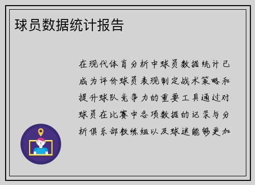 球员数据统计报告