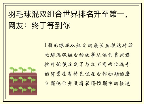 羽毛球混双组合世界排名升至第一，网友：终于等到你